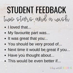 Looking for a way to provide meaningful, authentic and timely feedback to your little learners? These feedback slips are the answer!